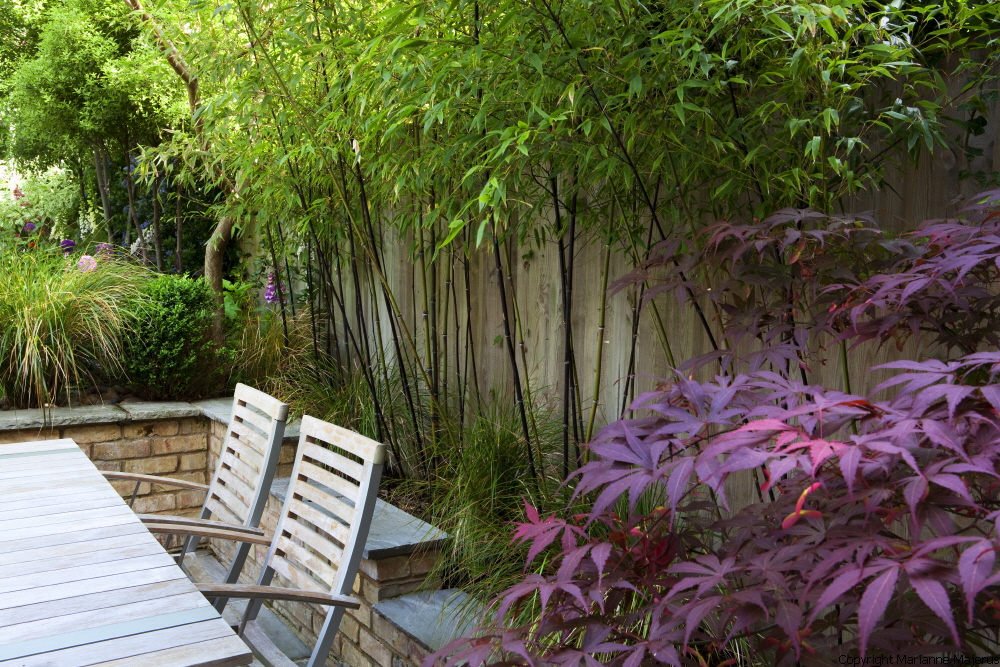 Town Garden — 1049097