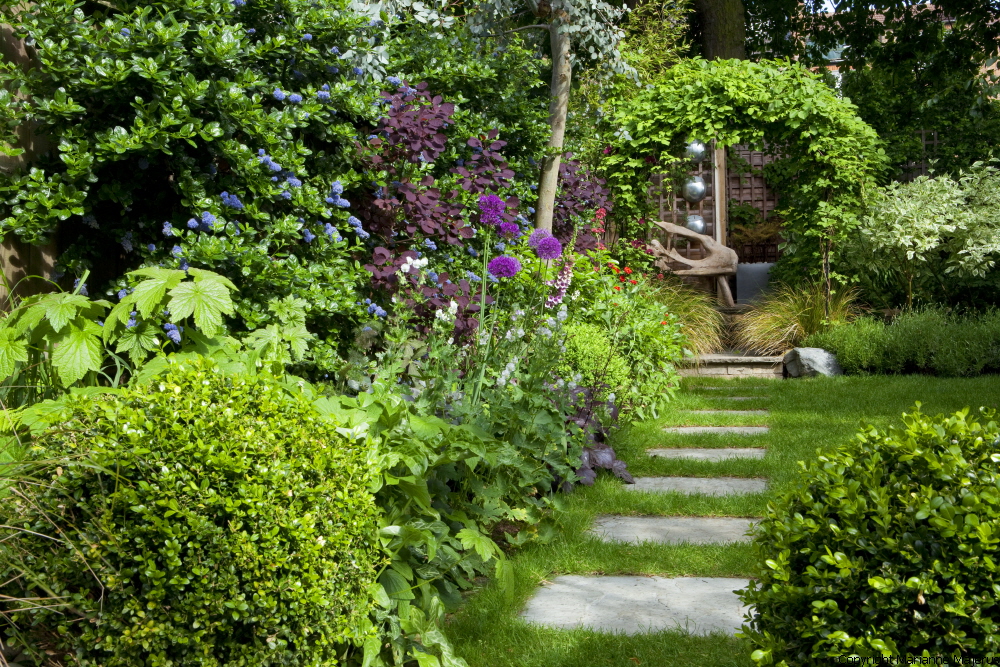 Town Garden — 1049119