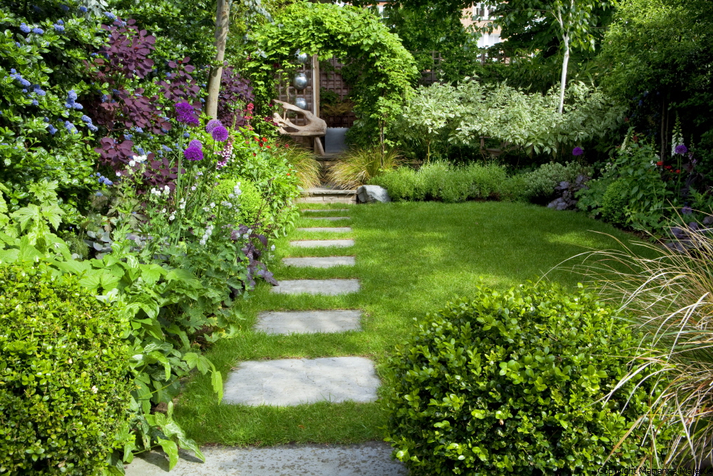 Town Garden — 1049135