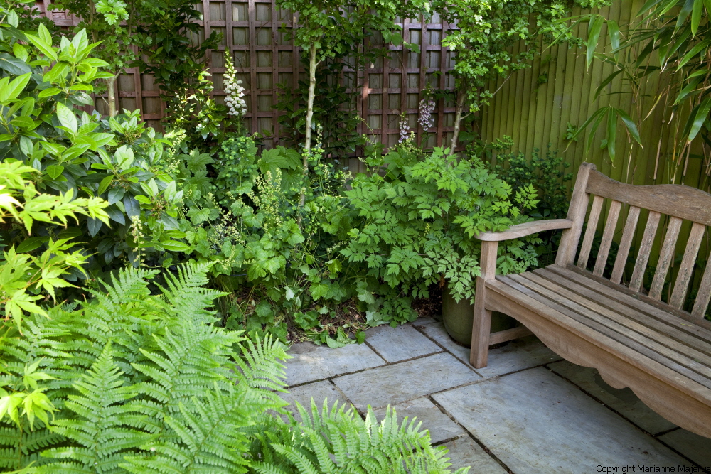 Town Garden — 1049149