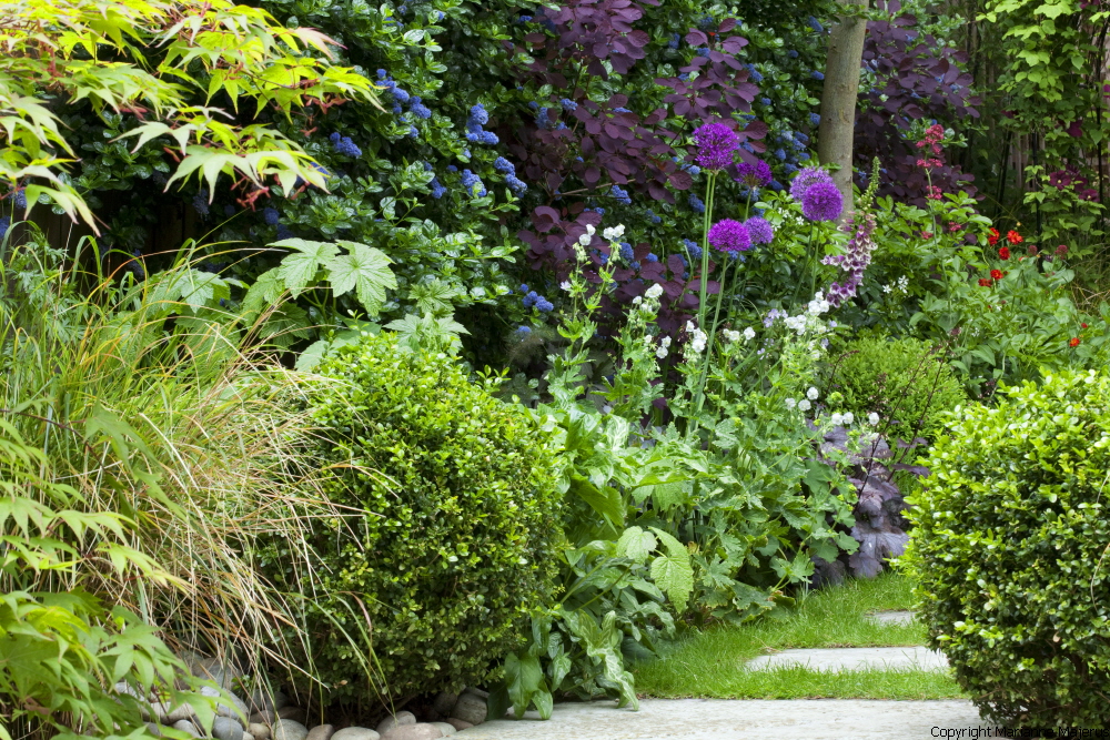 Town Garden — 1049270