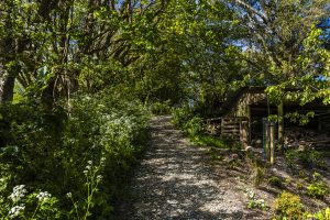 Tregarne — 12 Old Byre House 14 Manaccan Cornwall 2026 medium 300x200 1
