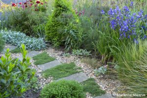 Front Garden — 1280206 300x200 1