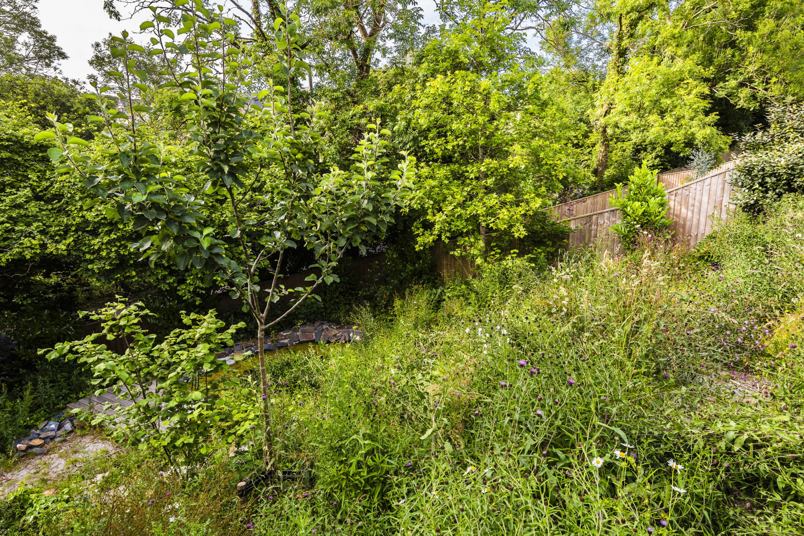 Tregarne — 19 scaled 1
