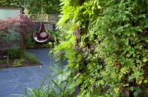 Small Contemporary Garden — garden and planting design north london jilayne rickards 1084347 300x198 1
