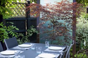 Small Contemporary Garden — garden and planting design north london jilayne rickards 1084351 300x198 1