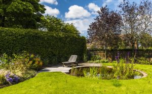 Wildlife Garden — wildlife garden great missenden jilayne rickards kings ash barn 02 august 2017 1280 300x186 1